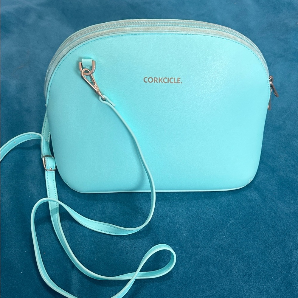 Corkcicle teal lunchbox
